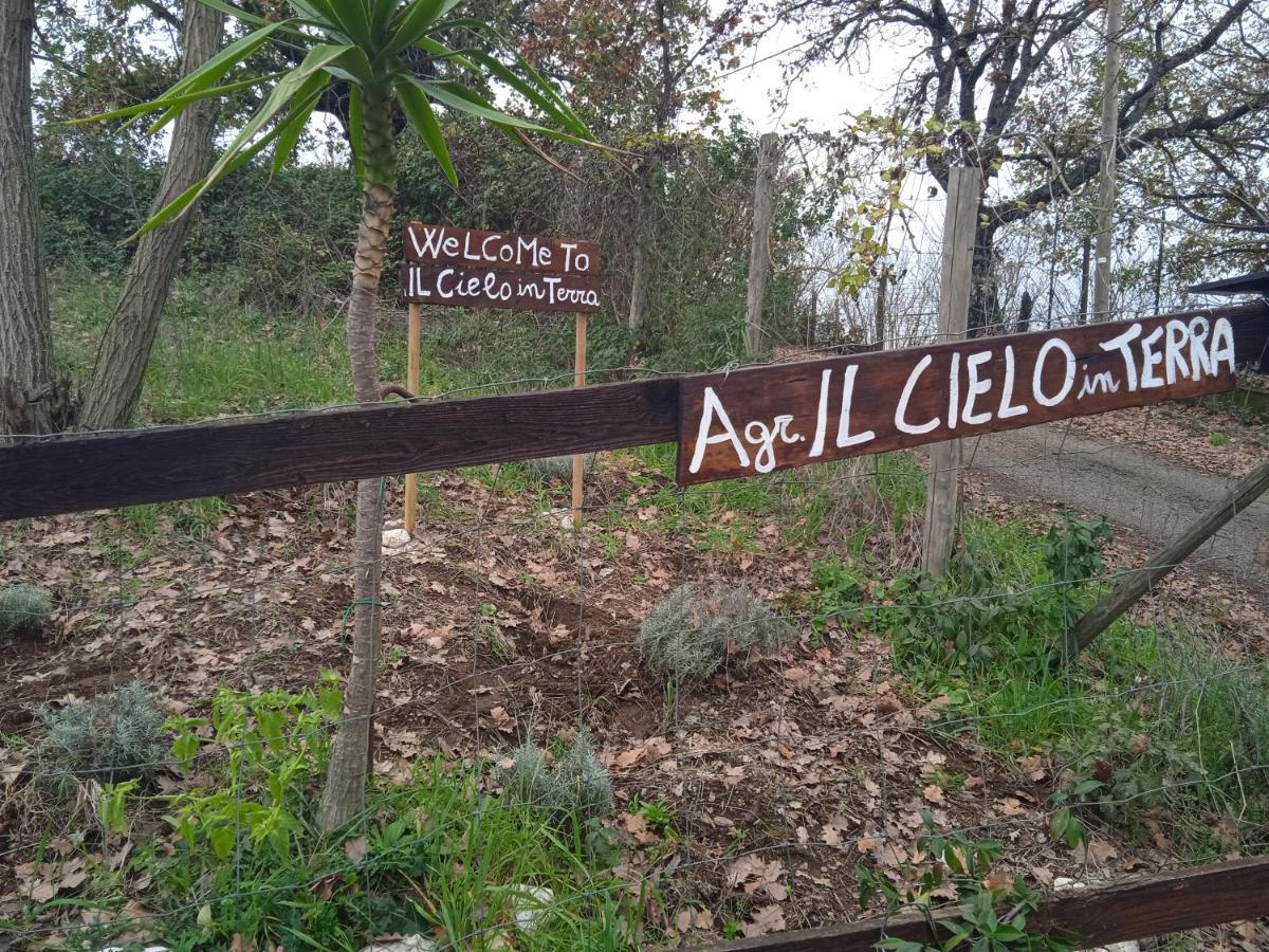 Agriturismo Il Cielo In Terra Sant'Oreste Ngoại thất bức ảnh